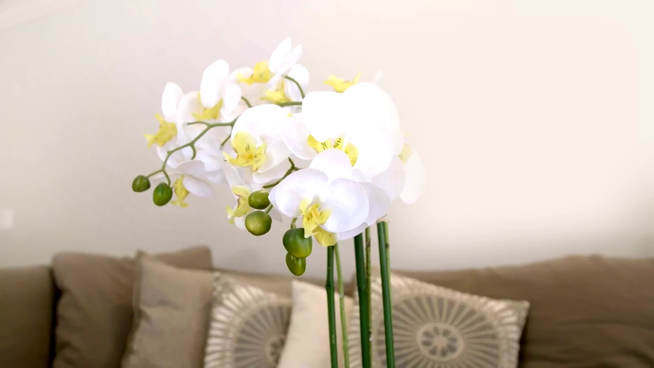 Ashley-Greene-dot-NL_DesignTherapy-2x02LoveItHateItorMeh0338.jpg