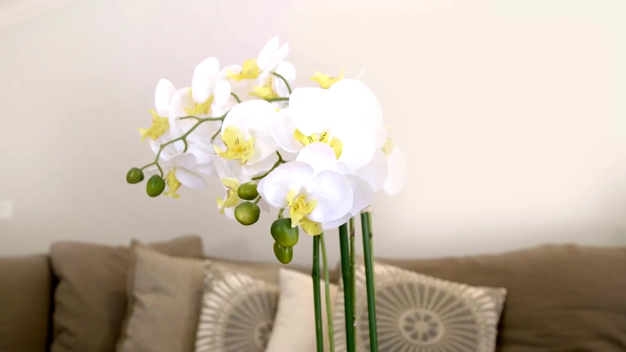 Ashley-Greene-dot-NL_DesignTherapy-2x02LoveItHateItorMeh0386.jpg