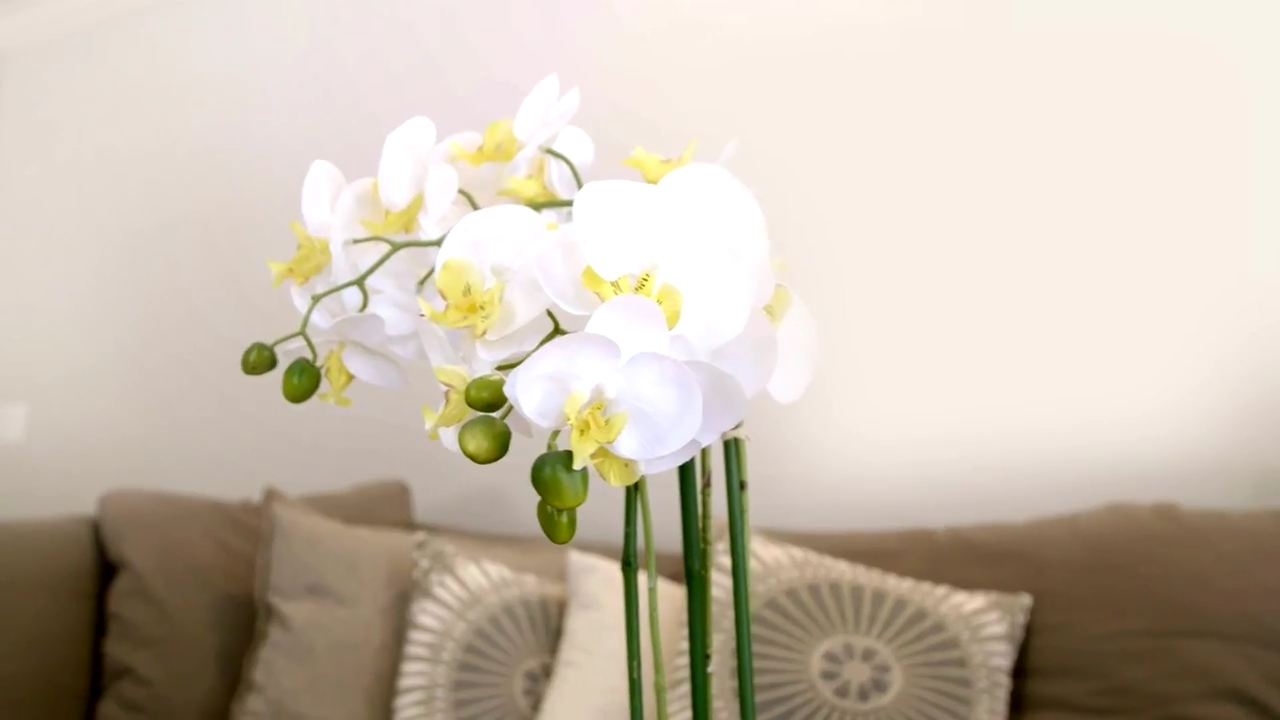 Ashley-Greene-dot-NL_DesignTherapy-2x02LoveItHateItorMeh0387.jpg