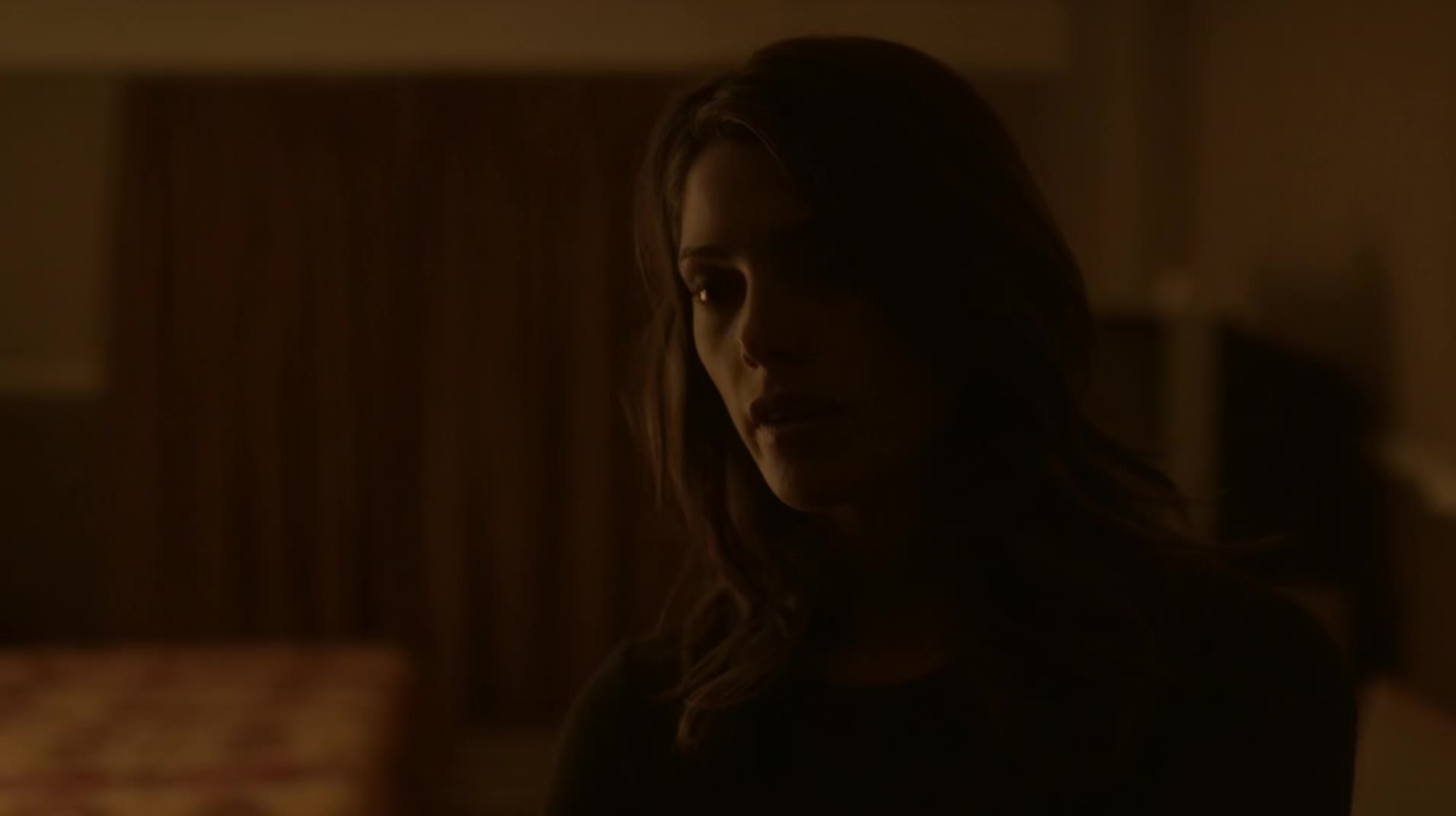 Ashley-Greene-dot-NL_Rouge3x1300280.jpg