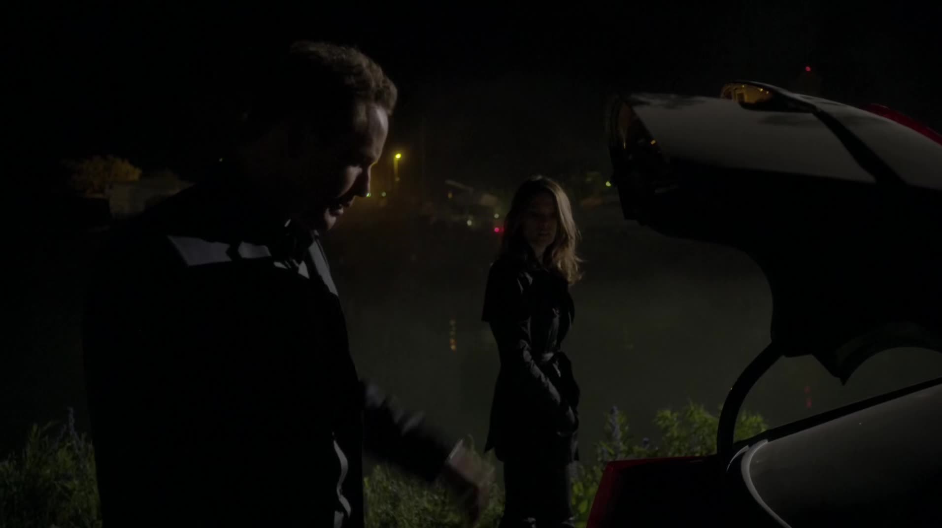 Ashley-Greene-dot-NL_Rouge3x1300444.jpg