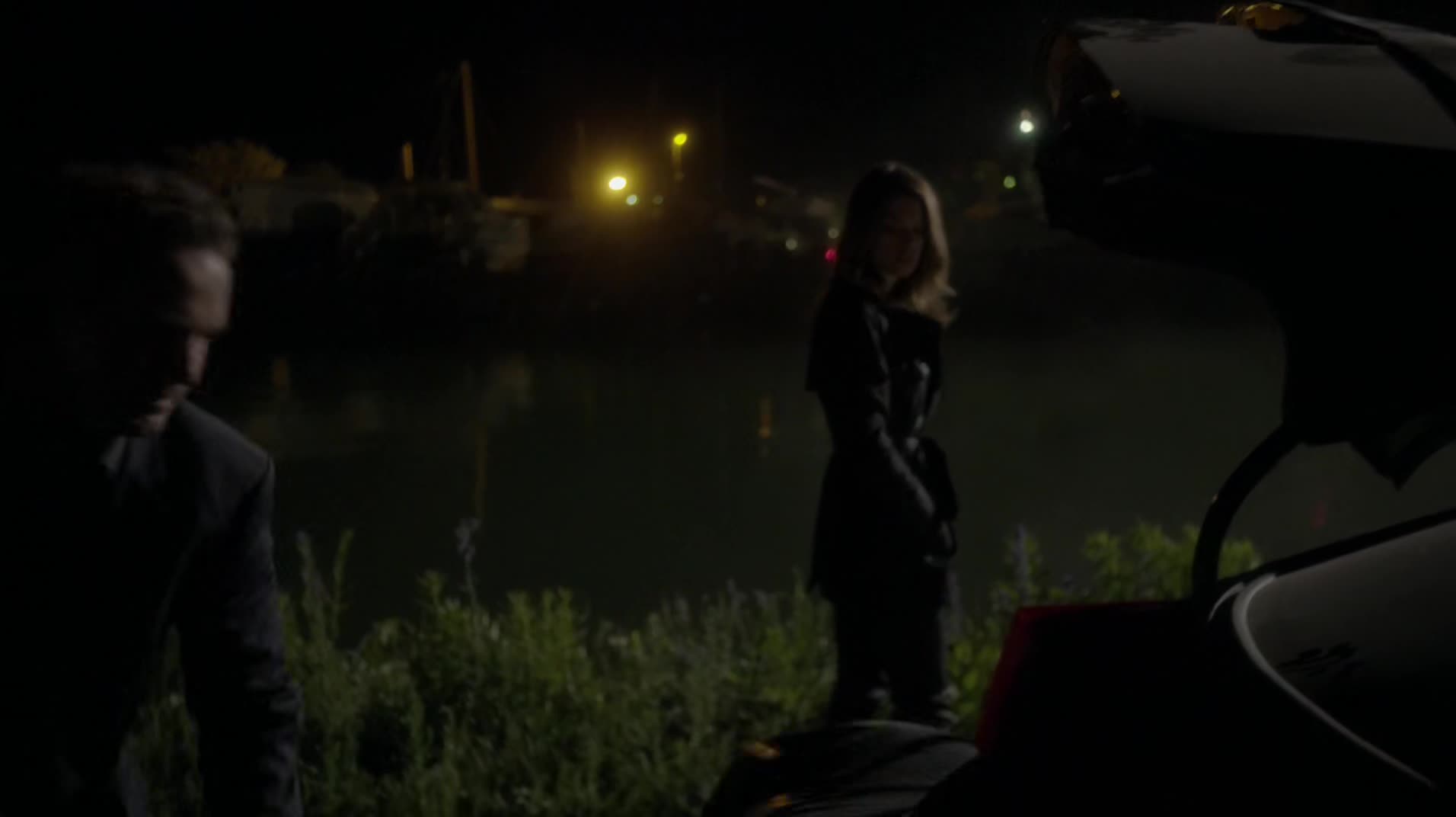 Ashley-Greene-dot-NL_Rouge3x1300449.jpg
