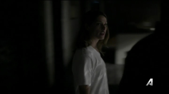 Ashley-Greene-dot_nl-Rogue3x14-0974.jpg
