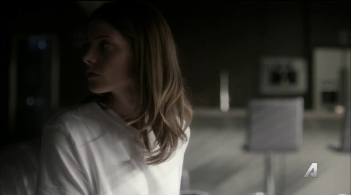Ashley-Greene-dot_nl-Rogue3x14-1044.jpg