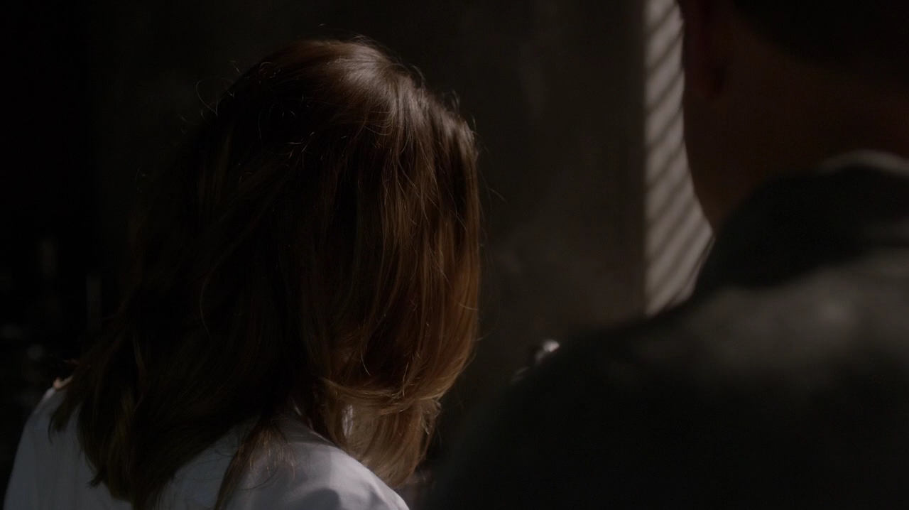 Ashley-Greene-dot-NL_Rogue3x15-1066.jpg