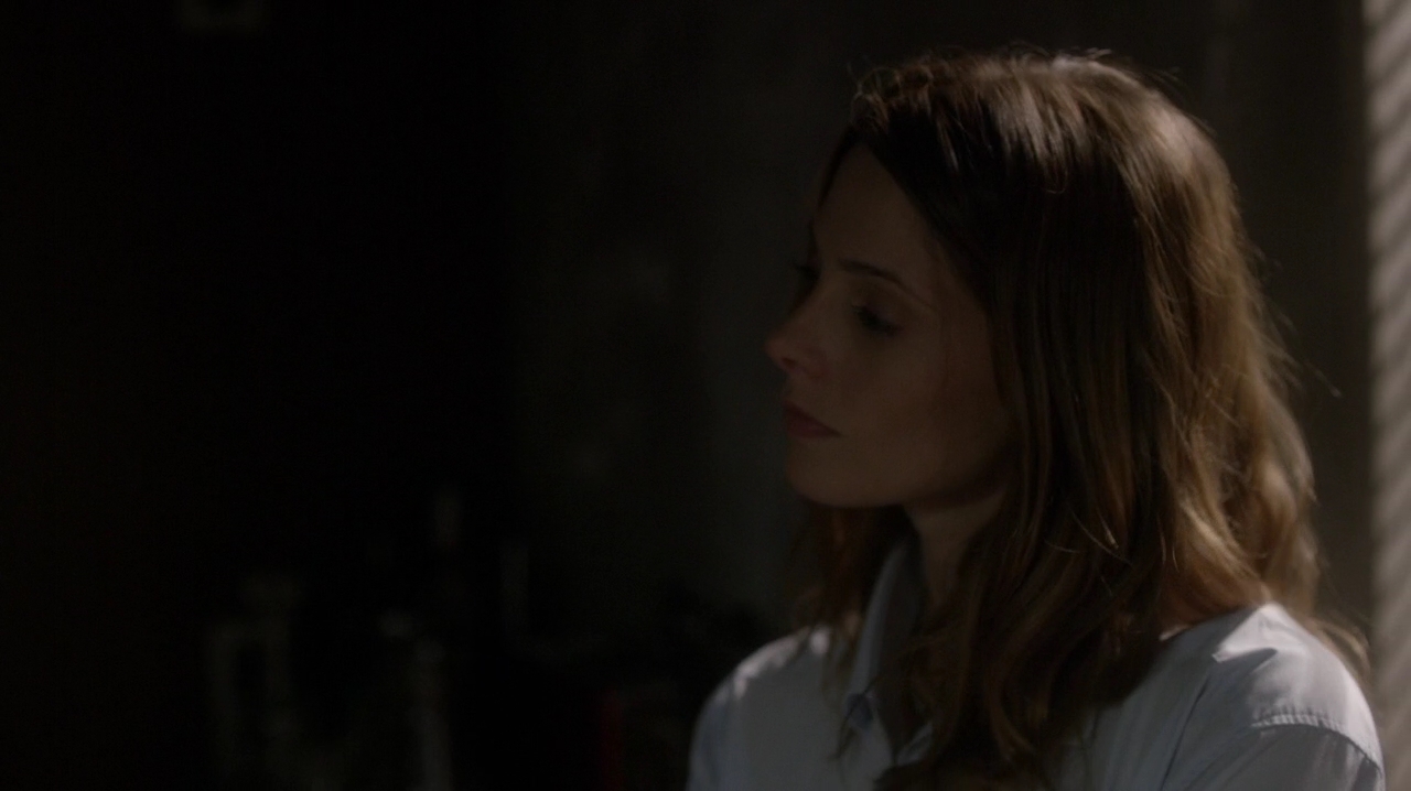 Ashley-Greene-dot-NL_Rogue3x15-1101.jpg