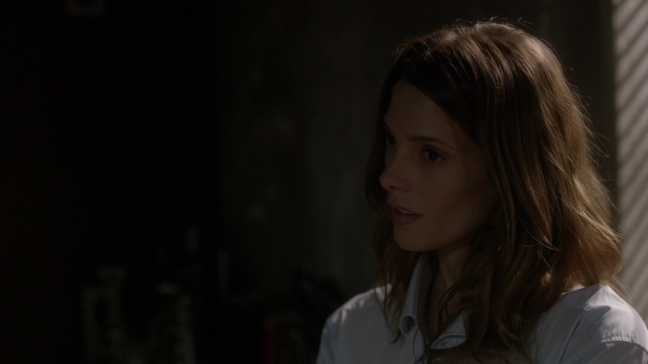Ashley-Greene-dot-NL_Rogue3x15-1108.jpg