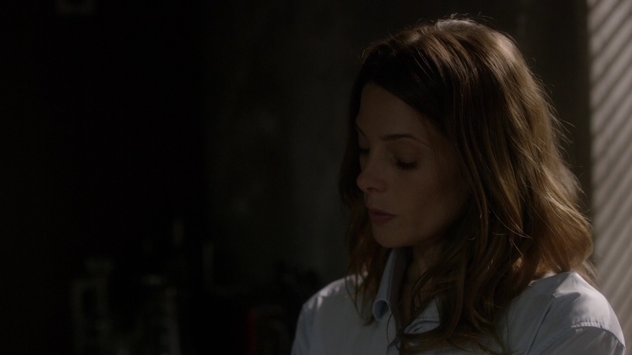 Ashley-Greene-dot-NL_Rogue3x15-1109.jpg