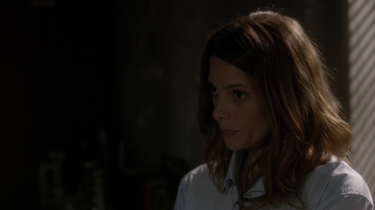 Ashley-Greene-dot-NL_Rogue3x15-1111.jpg