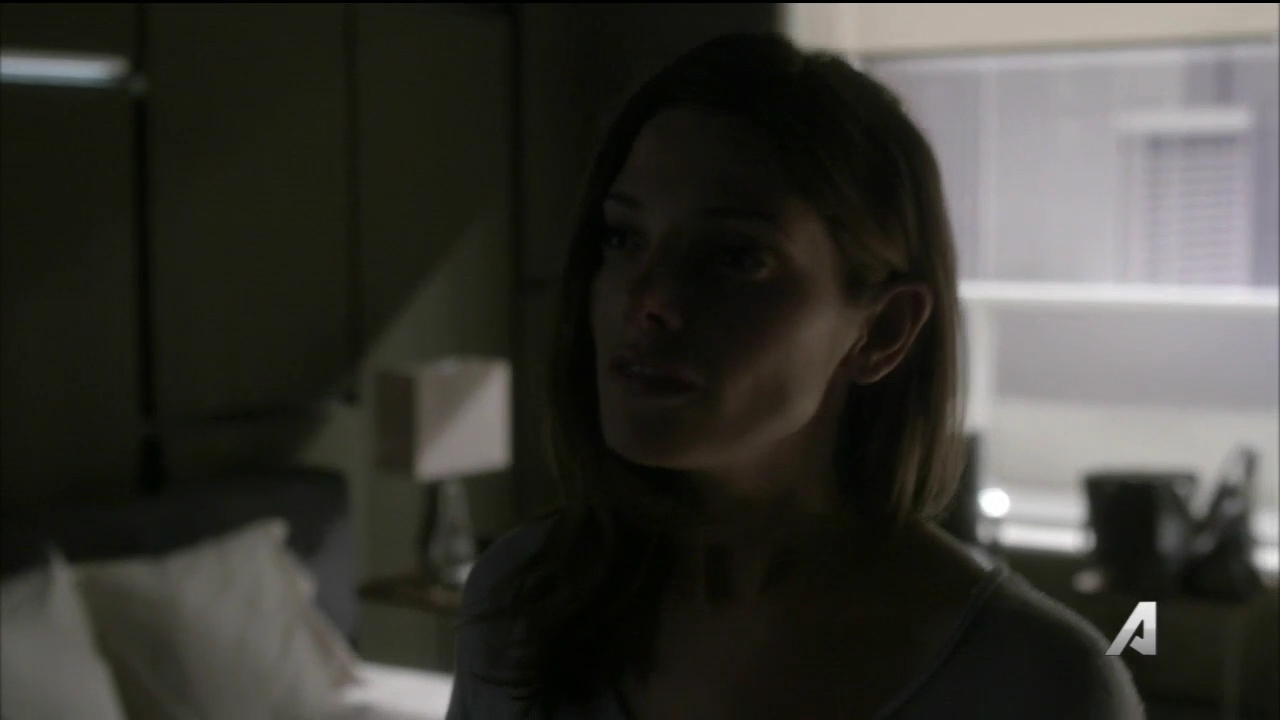 Ashley-Greene-dot_nl-Rouge3x16-0744.jpg
