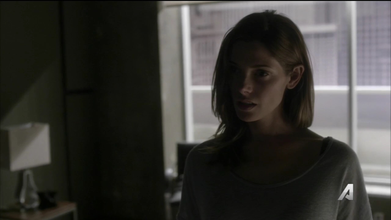 Ashley-Greene-dot_nl-Rouge3x16-0747.jpg