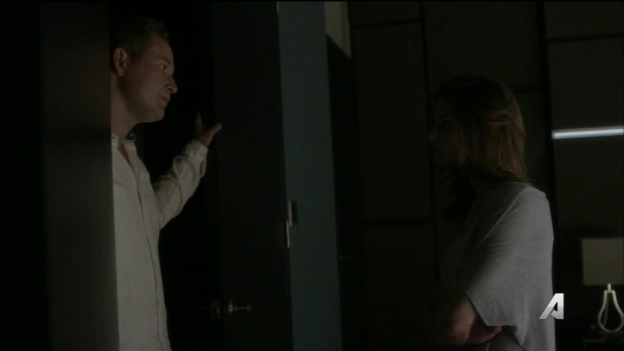 Ashley-Greene-dot_nl-Rouge3x16-0762.jpg Ashley-Greene-dot_nl-Rouge3x16-0762.jpg