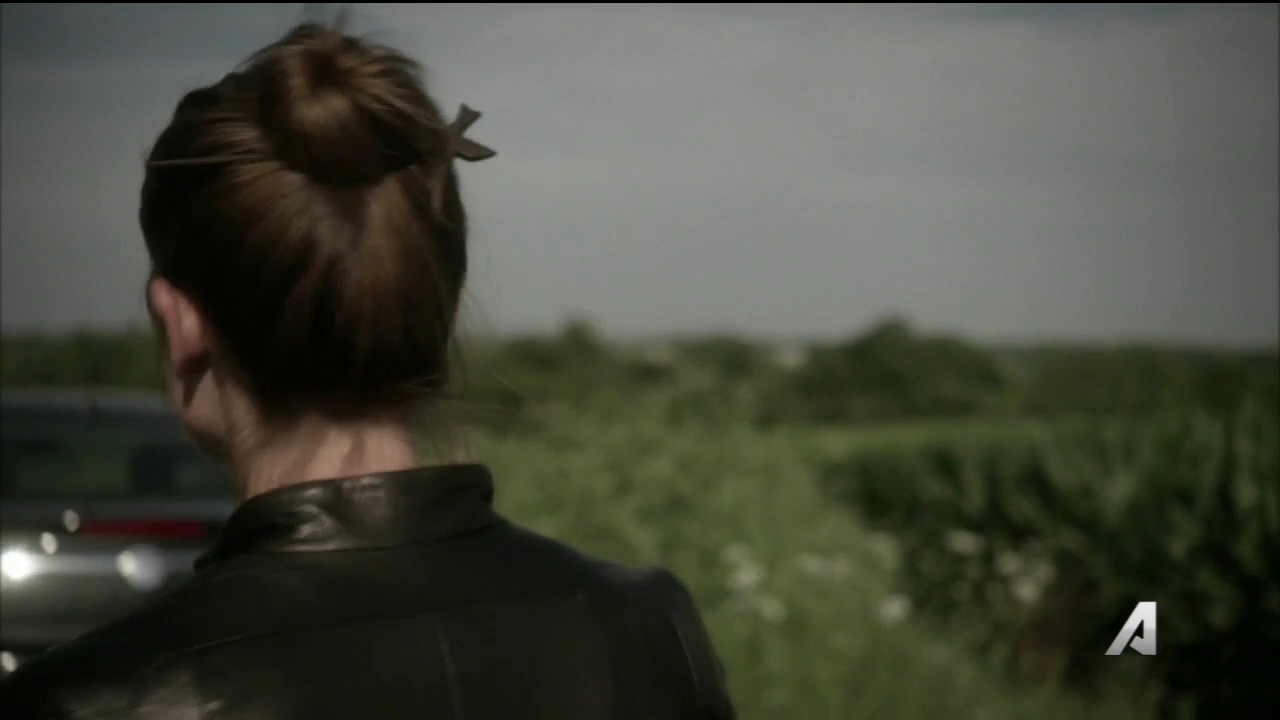 Ashley-Greene-dot_nl-Rouge3x16-2806.jpg