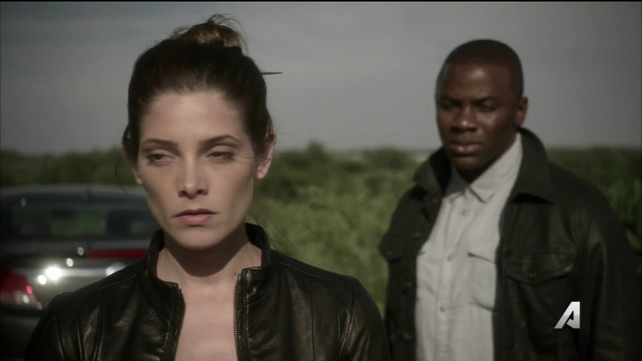 Ashley-Greene-dot_nl-Rouge3x16-2818.jpg