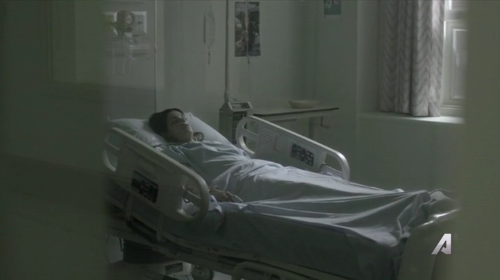 Ashley-Greene-dot-nl_Rouge4x01MariaFullofGrace0614.jpg Ashley-Greene-dot-nl_Rouge4x01MariaFullofGrace0614.jpg