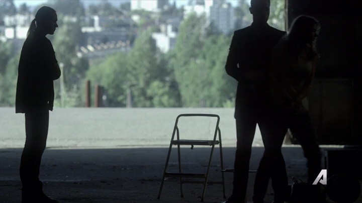 Ashley-Greene-dot-nl_Rogue4x02HowtheLightGetsIn-0047.jpg