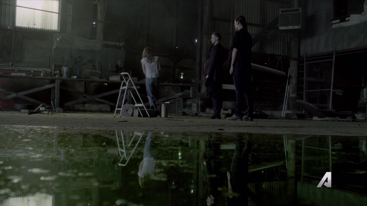 Ashley-Greene-dot-nl_Rogue4x02HowtheLightGetsIn-0048.jpg