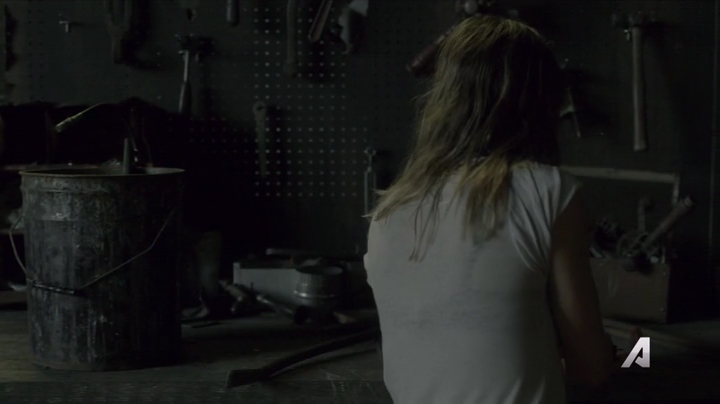 Ashley-Greene-dot-nl_Rogue4x02HowtheLightGetsIn-0051.jpg