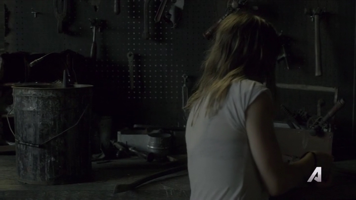 Ashley-Greene-dot-nl_Rogue4x02HowtheLightGetsIn-0052.jpg