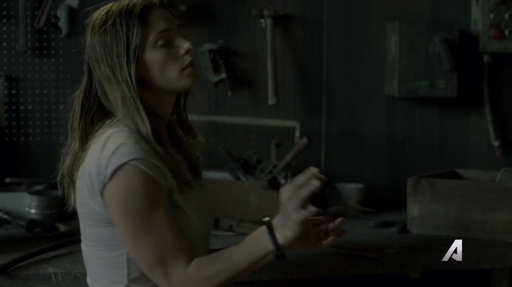 Ashley-Greene-dot-nl_Rogue4x02HowtheLightGetsIn-0053.jpg