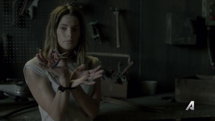 Ashley-Greene-dot-nl_Rogue4x02HowtheLightGetsIn-0055.jpg