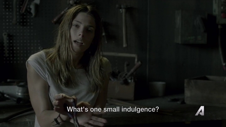 Ashley-Greene-dot-nl_Rogue4x02HowtheLightGetsIn-0064.jpg