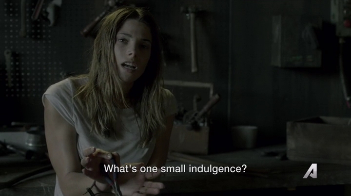 Ashley-Greene-dot-nl_Rogue4x02HowtheLightGetsIn-0065.jpg