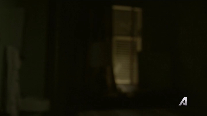 Ashley-Greene-dot-nl_Rogue4x02HowtheLightGetsIn-0079.jpg