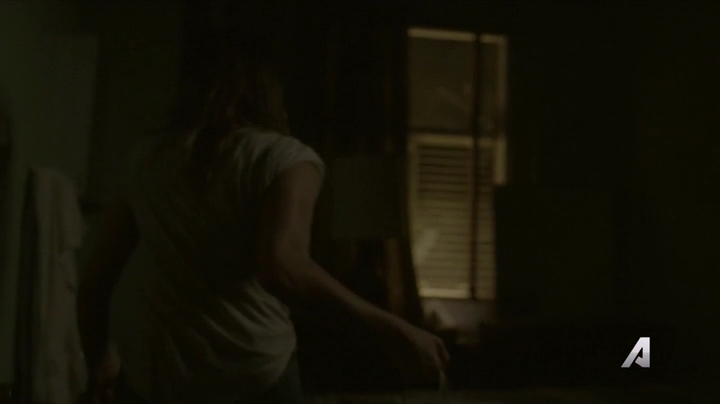 Ashley-Greene-dot-nl_Rogue4x02HowtheLightGetsIn-0081.jpg
