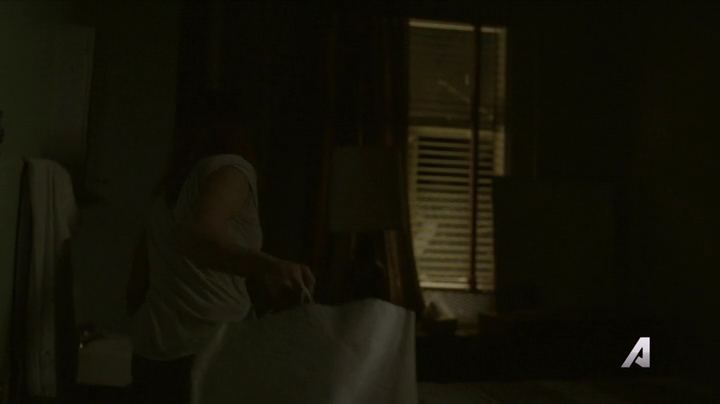 Ashley-Greene-dot-nl_Rogue4x02HowtheLightGetsIn-0082.jpg
