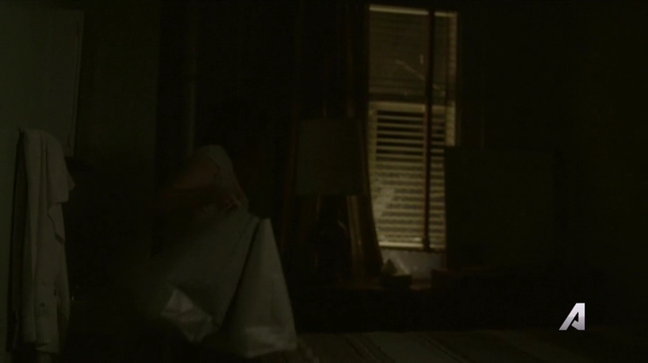 Ashley-Greene-dot-nl_Rogue4x02HowtheLightGetsIn-0083.jpg