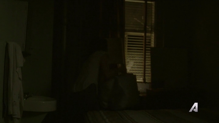 Ashley-Greene-dot-nl_Rogue4x02HowtheLightGetsIn-0084.jpg