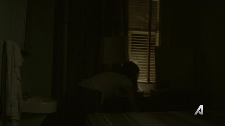 Ashley-Greene-dot-nl_Rogue4x02HowtheLightGetsIn-0085.jpg