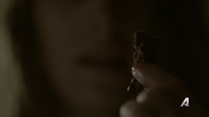 Ashley-Greene-dot-nl_Rogue4x02HowtheLightGetsIn-0094.jpg
