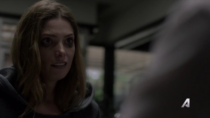 Ashley-Greene-dot-nl_Rogue4x02HowtheLightGetsIn-0162.jpg