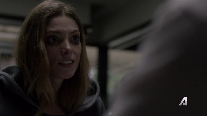 Ashley-Greene-dot-nl_Rogue4x02HowtheLightGetsIn-0172.jpg