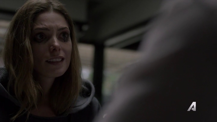 Ashley-Greene-dot-nl_Rogue4x02HowtheLightGetsIn-0184.jpg
