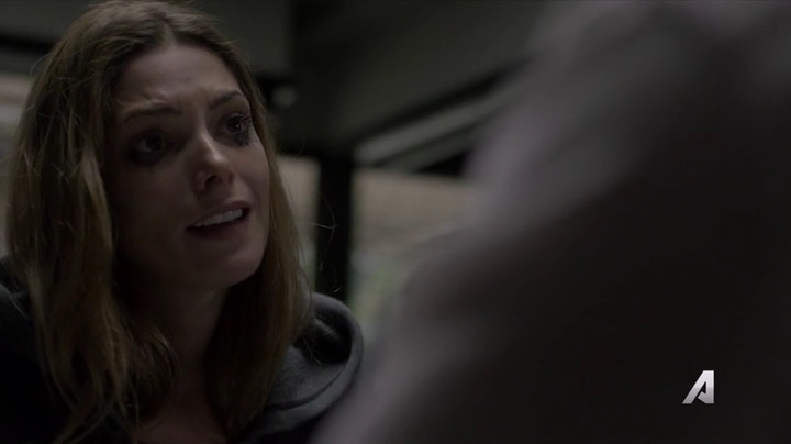 Ashley-Greene-dot-nl_Rogue4x02HowtheLightGetsIn-0193.jpg