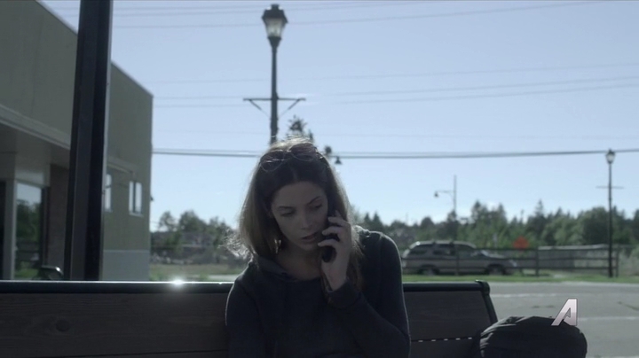 Ashley-Greene-dot-nl_Rogue4x02HowtheLightGetsIn-0238.jpg