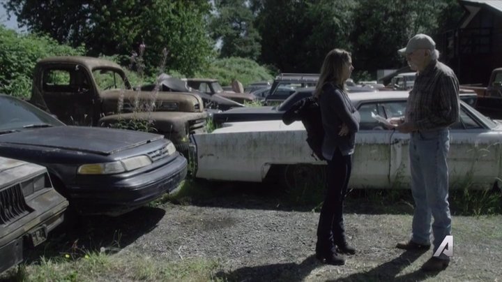Ashley-Greene-dot-nl_Rogue4x02HowtheLightGetsIn-0292.jpg