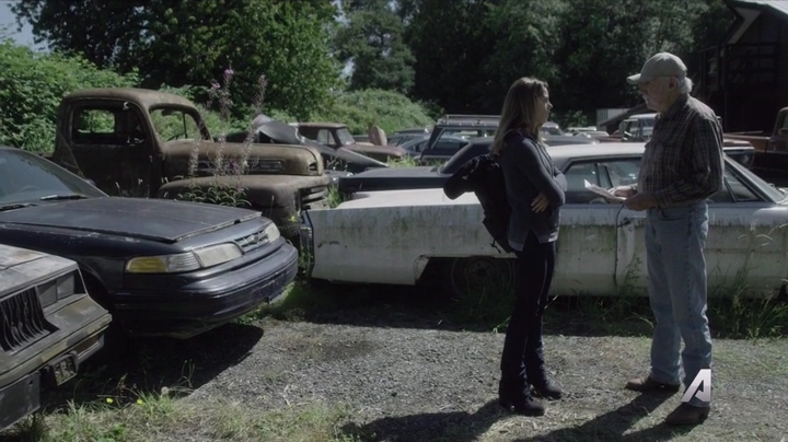 Ashley-Greene-dot-nl_Rogue4x02HowtheLightGetsIn-0294.jpg