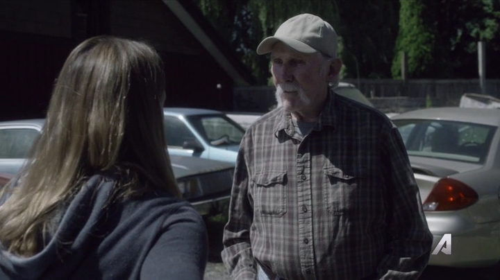 Ashley-Greene-dot-nl_Rogue4x02HowtheLightGetsIn-0305.jpg