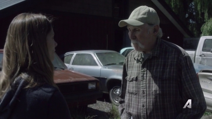 Ashley-Greene-dot-nl_Rogue4x02HowtheLightGetsIn-0313.jpg