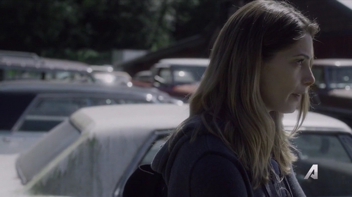 Ashley-Greene-dot-nl_Rogue4x02HowtheLightGetsIn-0321.jpg