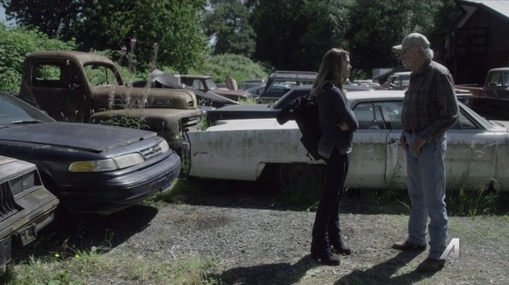 Ashley-Greene-dot-nl_Rogue4x02HowtheLightGetsIn-0326.jpg
