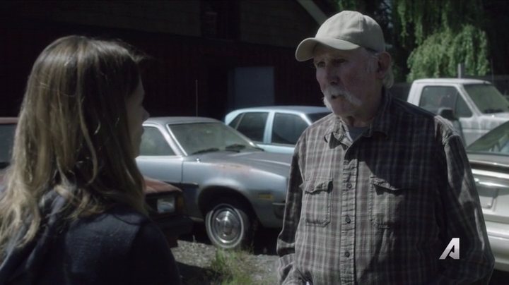 Ashley-Greene-dot-nl_Rogue4x02HowtheLightGetsIn-0343.jpg