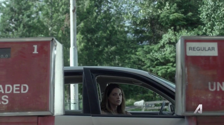 Ashley-Greene-dot-nl_Rogue4x02HowtheLightGetsIn0500.jpg