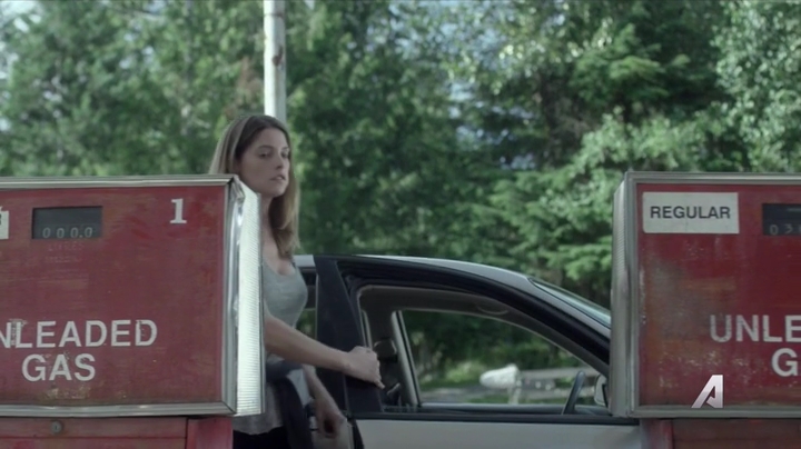Ashley-Greene-dot-nl_Rogue4x02HowtheLightGetsIn0504.jpg