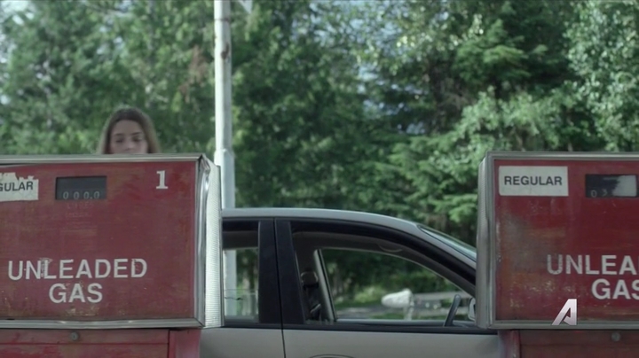 Ashley-Greene-dot-nl_Rogue4x02HowtheLightGetsIn0506.jpg