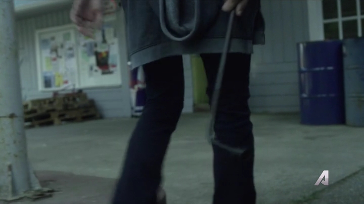 Ashley-Greene-dot-nl_Rogue4x02HowtheLightGetsIn0512.jpg